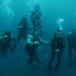 DIVING AT PORTOBELO (STANDARD)