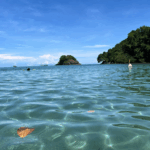 SNORKELING AT PORTOBELO (STANDARD)