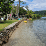 BEACH DAY (STANDARD)