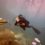 PACÍFICO-BONA/OTOQUE