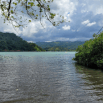 BEACH DAY AT PORTOBELO'S PRIVATE ISLAND (ALL INCLUSIVE)