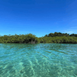 VENAS AZULES + SNORKELING