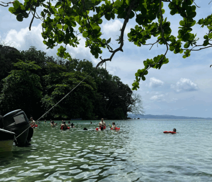 DÍA DE SOL, MAR Y PLAYA EN LA ISLA PRIVADA DE PORTOBELO + SNORKELING