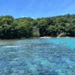 BEACH DAY + SNORKELING