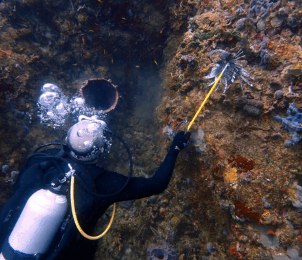 MI PRIMER BUCEO (ESTÁNDAR)